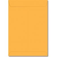 envelope-saco-240x340mm-amarelo-10-unidades-29.0159-4-foroni-blister