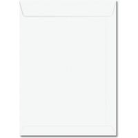 envelope-saco-260x360mm-branco-10-unidades-29.0166-7-foroni-blister