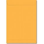 envelope-saco-176x250mm-amarelo-10-unidades-29.0120-9-foroni-blister