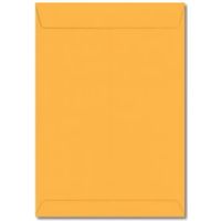 envelope-saco-176x250mm-amarelo-10-unidades-29.0120-9-foroni-blister