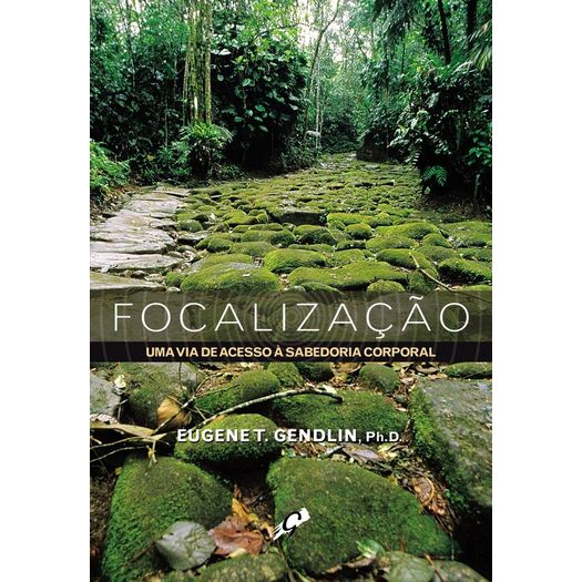 focalização focalização