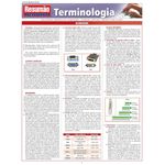 resumão terminologia resumão terminologia