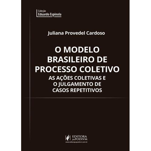 o modelo brasileiro de processo coletivo