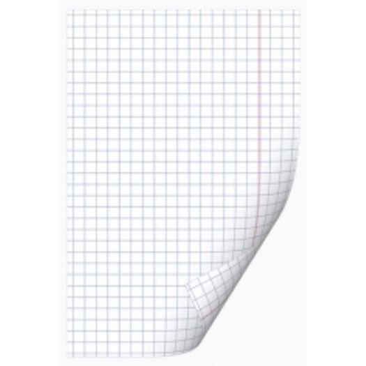 papel almaço quadriculado 10 folhas