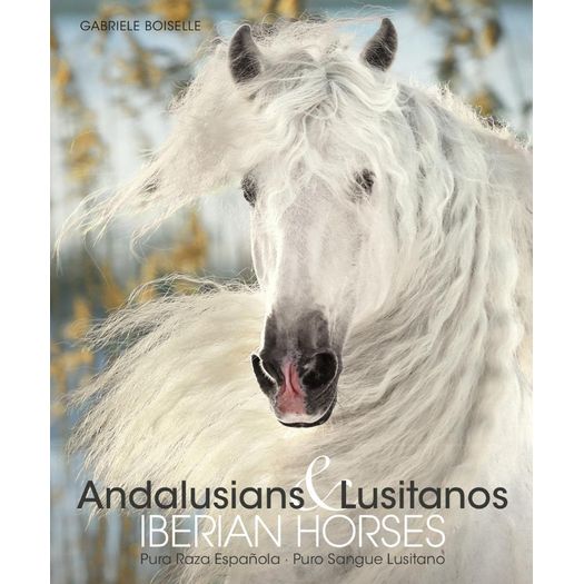 andalusians e lusitanos - iberian horses andalusians e lusitanos - iberian horses