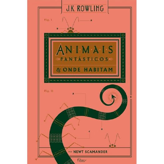 animais fantásticos e onde habitam animais fantásticos e onde habitam
