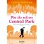 por-do-sol-no-central-park