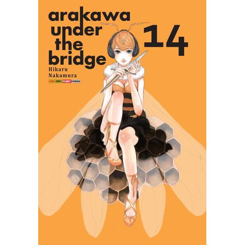 arakawa under the bridge 14