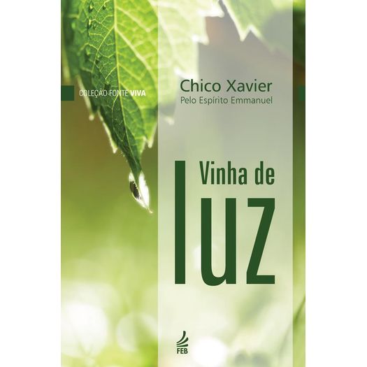 vinha de luz - bolso vinha de luz - bolso