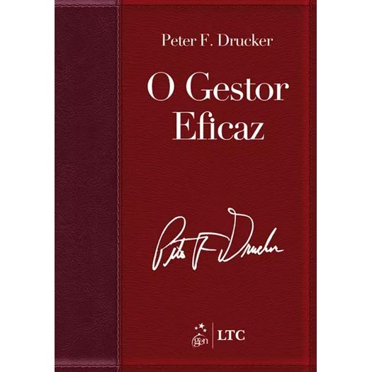 o gestor eficaz o gestor eficaz