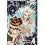 dr. stone 4