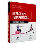 exercícios terapêuticos