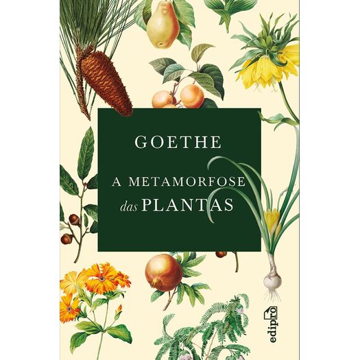 a-metamorfose-das-plantas