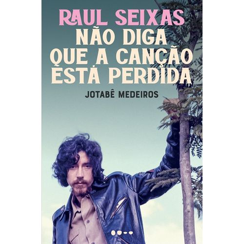 raul seixas - não diga que a canção está perdida