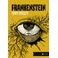 frankenstein - edição bolso de luxo