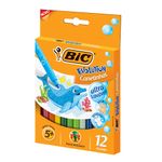 caneta-hidro-12-cores-evolution-940599-bic