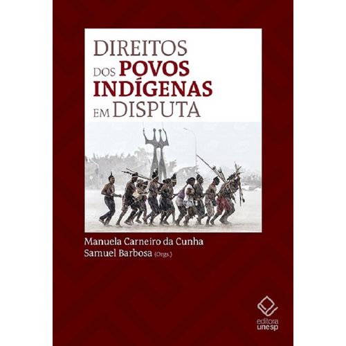 direitos-dos-povos-indigenas-em-disputa