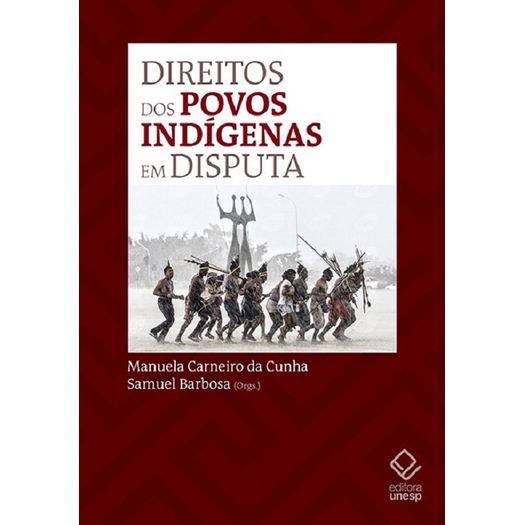 direitos dos povos indigenas em disputa direitos dos povos indigenas em disputa