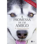 a-promessa-de-um-amigo