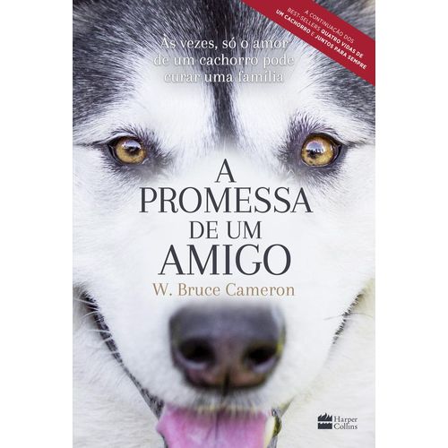 a-promessa-de-um-amigo