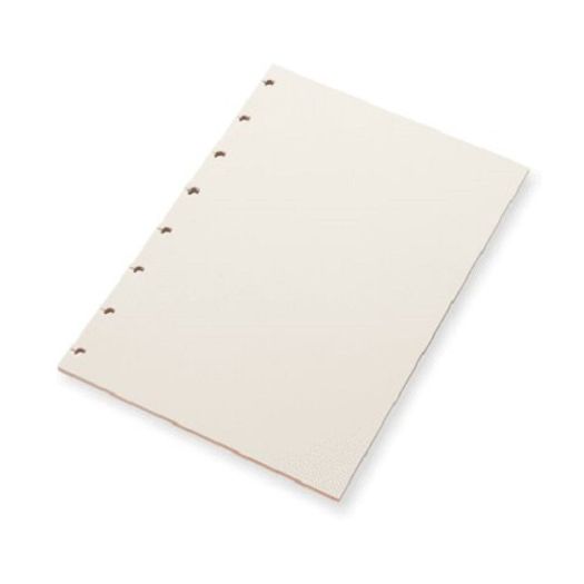 refil para organizador planner sem pauta colorido 30 folhas refil para organizador planner sem pauta colorido 30 folhas