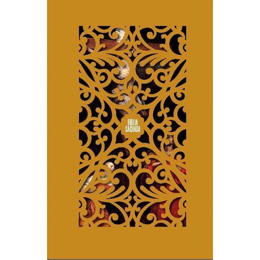 bíblia sagrada nvi - capa dura - dourada - leitura perfeita bíblia sagrada nvi - capa dura - dourada - leitura perfeita