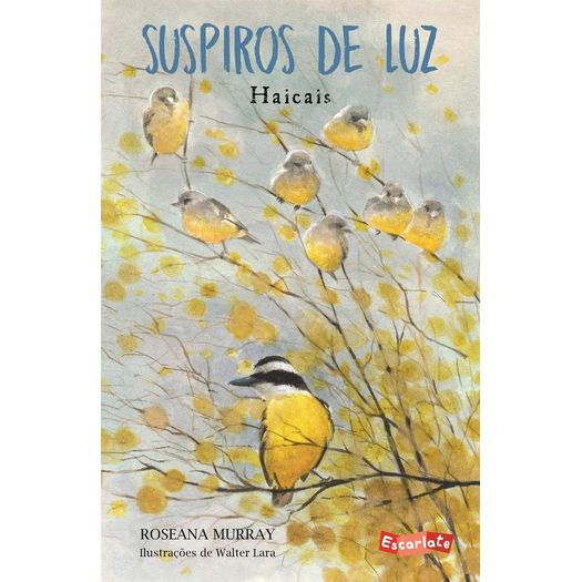 suspiros-de-luz