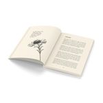 tipobilhete - todas as dores de que me libertei e sobrevivi tipobilhete - todas as dores de que me libertei e sobrevivi