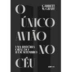 o único avião no céu