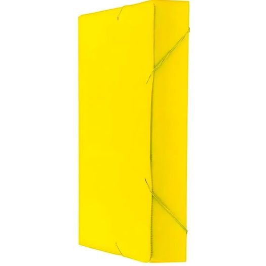 pasta polionda amarela pasta polionda amarela