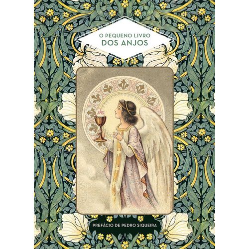 o pequeno livro dos anjos
