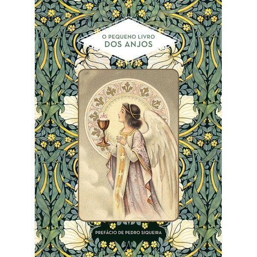 o pequeno livro dos anjos