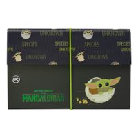pasta-sanfonada-a5-06-divisorias-baby-yoda-mandalorian-3473-dac