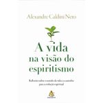 a vida na visão do espiritismo