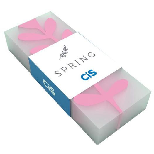 borracha escolar spring cis sertic avulsa borracha escolar spring cis sertic avulsa