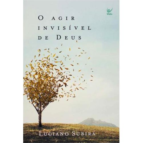 o agir invisível de deus