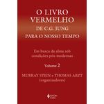 o livro vermelho de c. g. jung para o nosso tempo vol 2