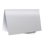 papel-cartolina-laminada-49x59cm-02-folhas-prata-m-sasso