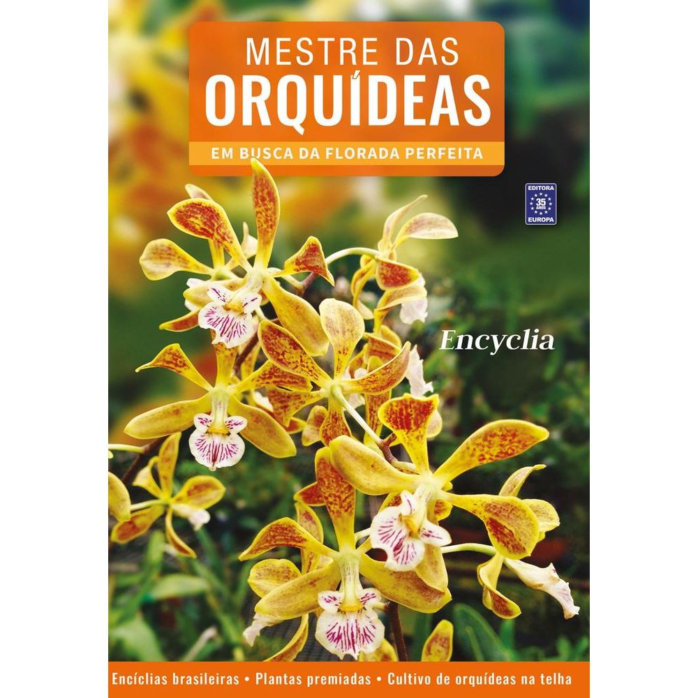 A Grande Mestra E Mãe - Livrarias Curitiba