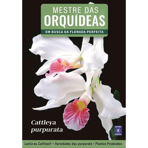 mestre das orquídeas - volume 6