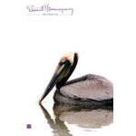 ter-e-nao-ter ter-e-nao-ter