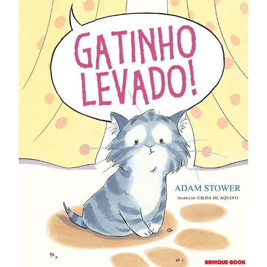 gatinho levado gatinho levado