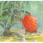 o ratinho, o morango vermelho maduro e o grande urso esfomeado o ratinho, o morango vermelho maduro e o grande urso esfomeado