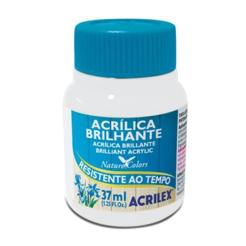 tinta acrílica brilhante 37ml branco