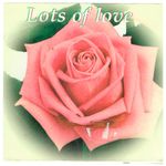 cd card lots of love cd card lots of love