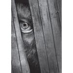 7-historias-de-gelar-o-sangue