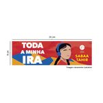 toda-a-minha-ira---com-brinde