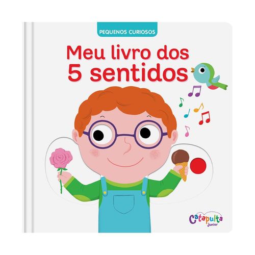 meu livro dos 5 sentidos