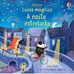 luzes-magicas---a-noite-estrelada