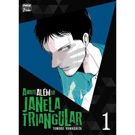 a noite além da janela triangular - vol 01